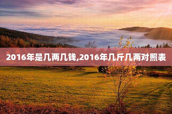 2016年是几两几钱,2016年几斤几两对照表