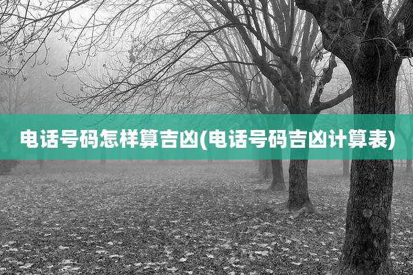 电话号码怎样算吉凶(电话号码吉凶计算表)
