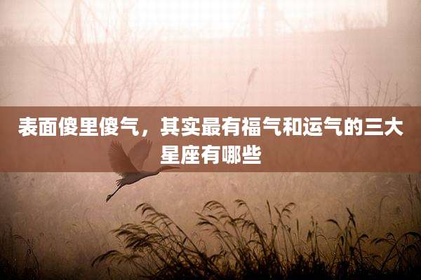 表面傻里傻气,其实最有福气和运气的三大星座有哪些