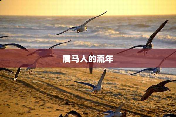 属马人的流年