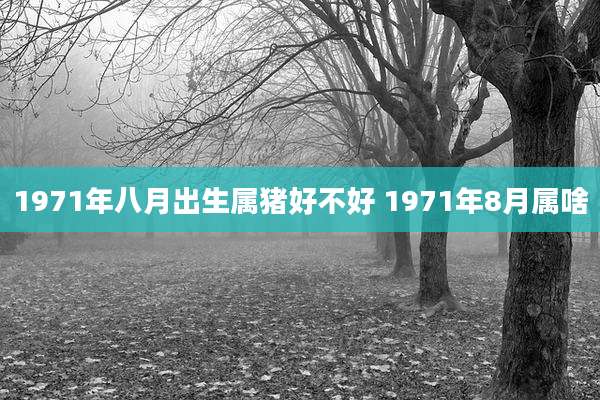 1971年八月出生属猪好不好 1971年8月属啥