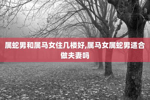 属蛇男和属马女住几楼好,属马女属蛇男适合做夫妻吗