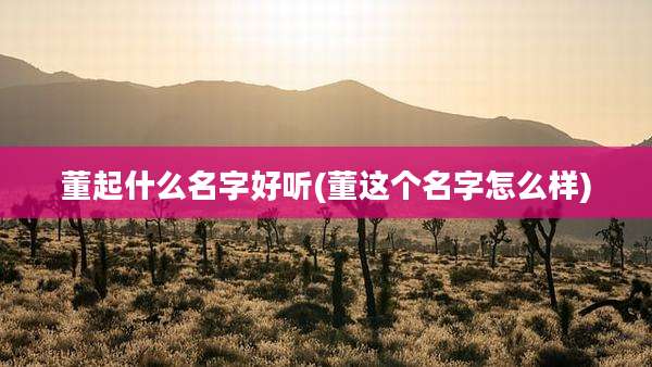 董起什么名字好听(董这个名字怎么样)
