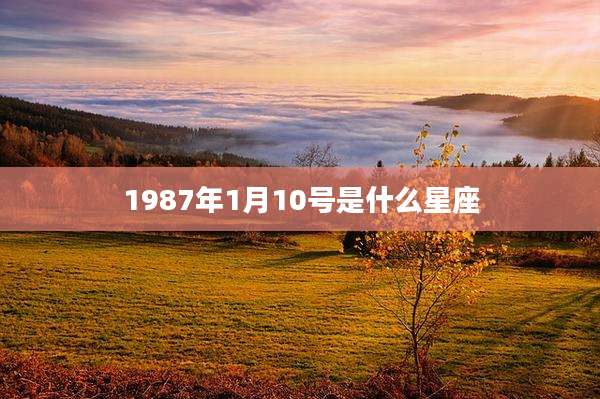 1987年1月10号是什么星座