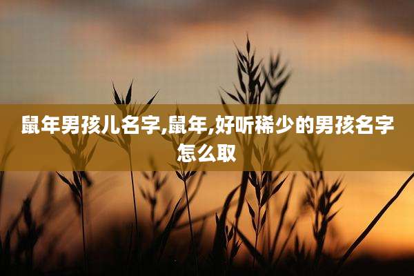 鼠年男孩儿名字,鼠年,好听稀少的男孩名字怎么取
