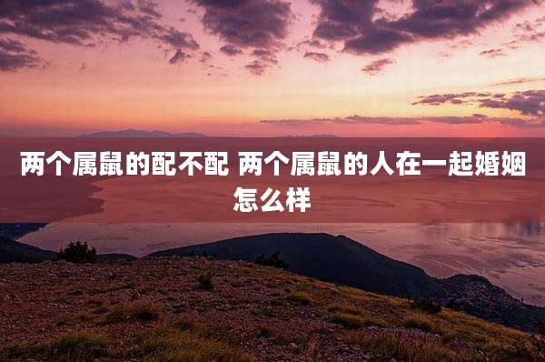 两个属鼠的配不配 两个属鼠的人在一起婚姻怎么样
