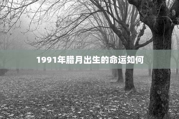1991年腊月出生的命运如何