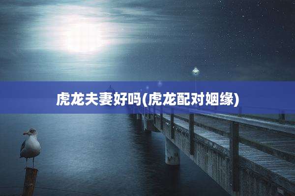虎龙夫妻好吗(虎龙配对姻缘)