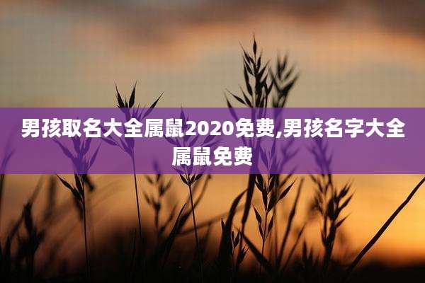 男孩取名大全属鼠2020免费,男孩名字大全属鼠免费
