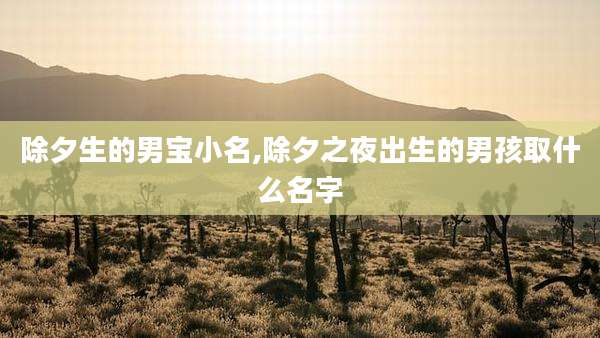 除夕生的男宝小名,除夕之夜出生的男孩取什么名字