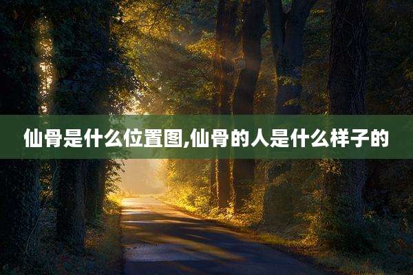 仙骨是什么位置图,仙骨的人是什么样子的
