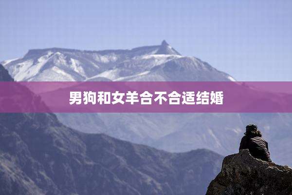 男狗和女羊合不合适结婚