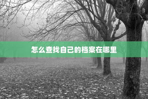 怎么查找自己的档案在哪里
