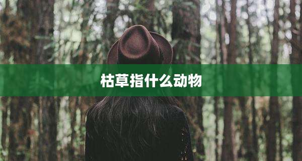 枯草指什么动物