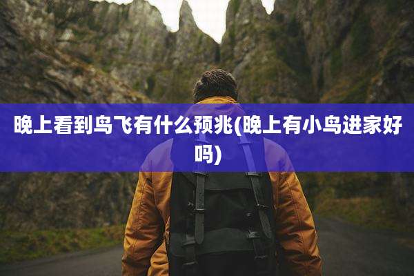 晚上看到鸟飞有什么预兆(晚上有小鸟进家好吗)