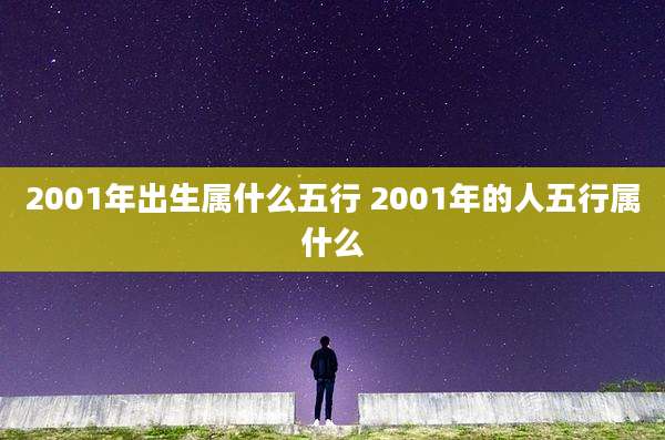 2001年出生属什么五行 2001年的人五行属什么