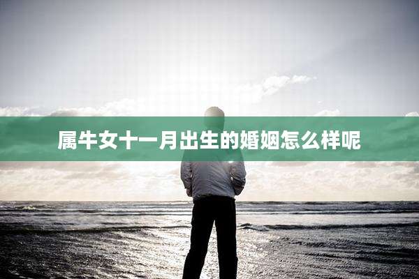 属牛女十一月出生的婚姻怎么样呢