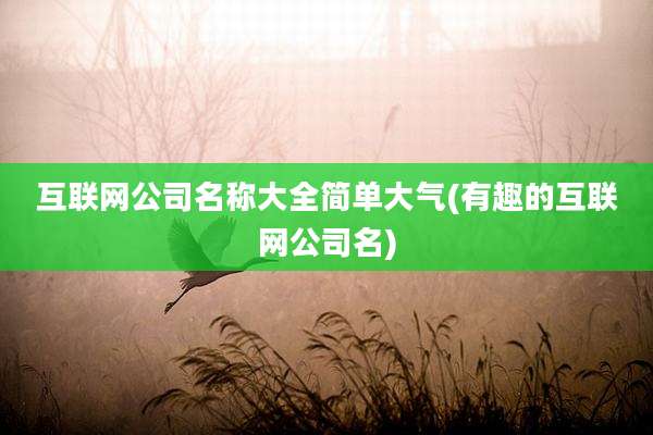 互联网公司名称大全简单大气(有趣的互联网公司名)
