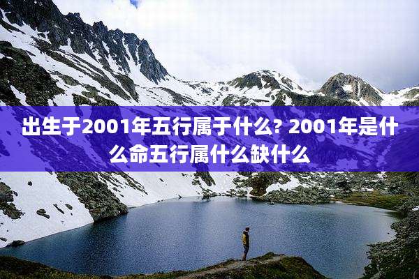 出生于2001年五行属于什么? 2001年是什么命五行属什么缺什么