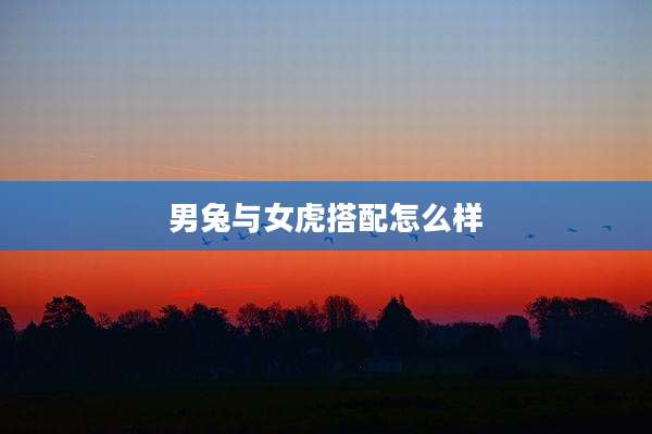 男兔与女虎搭配怎么样