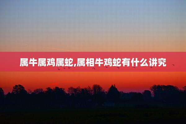 属牛属鸡属蛇,属相牛鸡蛇有什么讲究