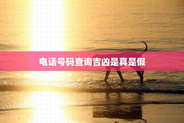 电话号码查询吉凶是真是假
