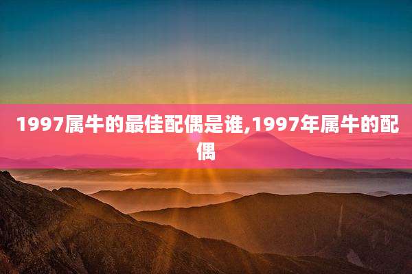 1997属牛的最佳配偶是谁,1997年属牛的配偶