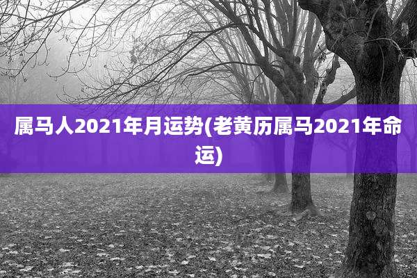 属马人2021年月运势(老黄历属马2021年命运)