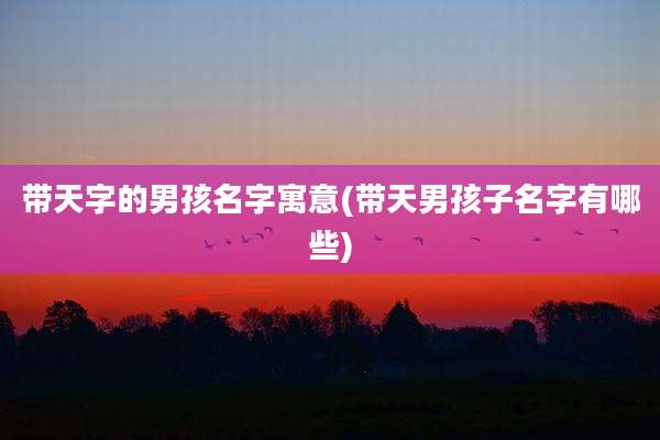 带天字的男孩名字寓意(带天男孩子名字有哪些)