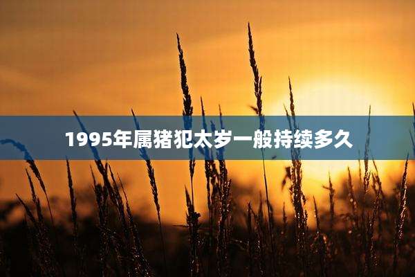 1995年属猪犯太岁一般持续多久