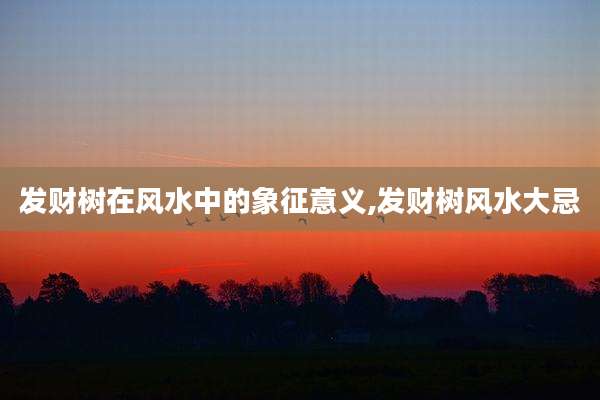 发财树在风水中的象征意义,发财树风水大忌