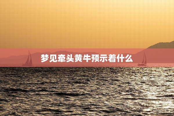 梦见牵头黄牛预示着什么