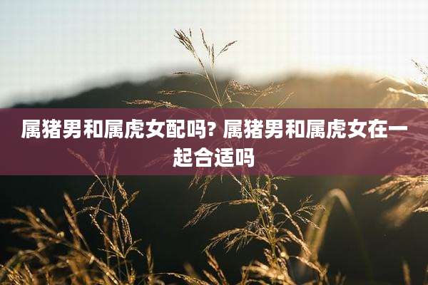 属猪男和属虎女配吗? 属猪男和属虎女在一起合适吗