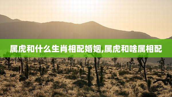 属虎和什么生肖相配婚姻,属虎和啥属相配