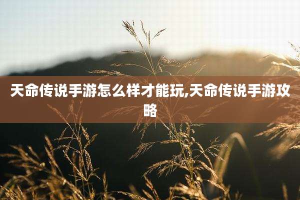 天命传说手游怎么样才能玩,天命传说手游攻略