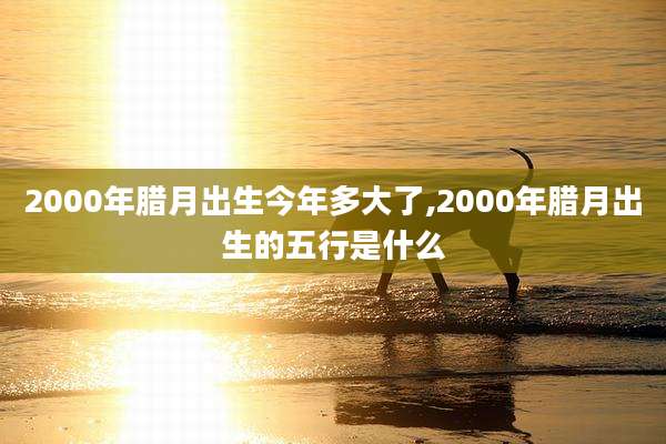 2000年腊月出生今年多大了,2000年腊月出生的五行是什么