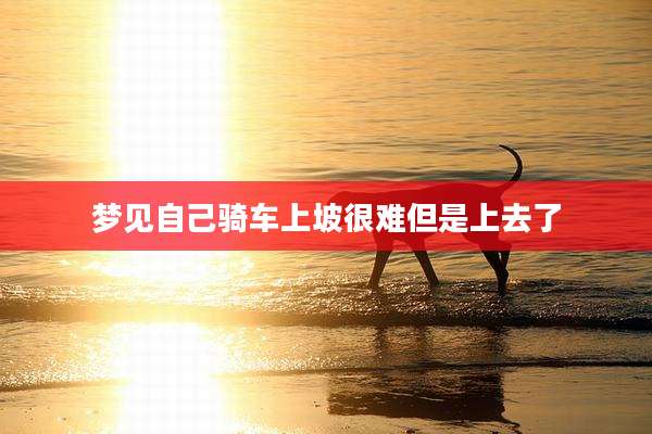 梦见自己骑车上坡很难但是上去了