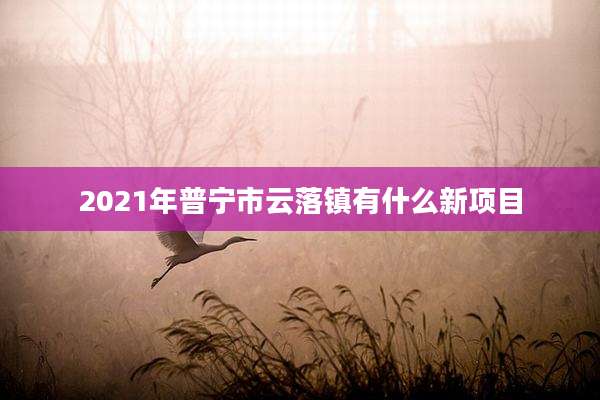 2021年普宁市云落镇有什么新项目