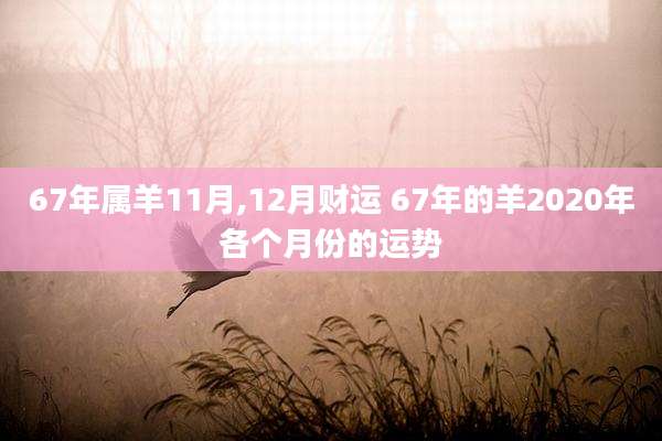 67年属羊11月,12月财运 67年的羊2020年各个月份的运势