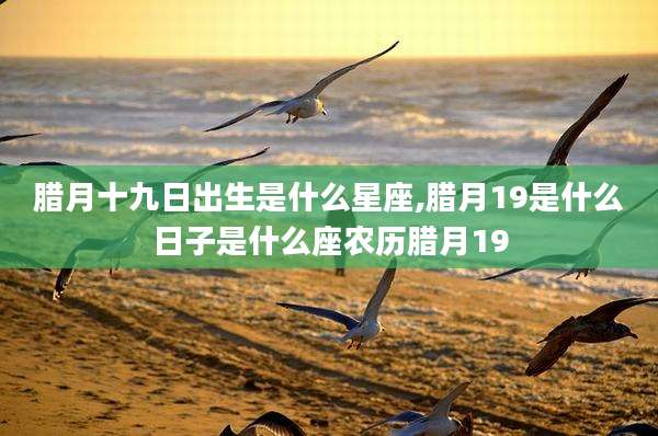 腊月十九日出生是什么星座,腊月19是什么日子是什么座农历腊月19