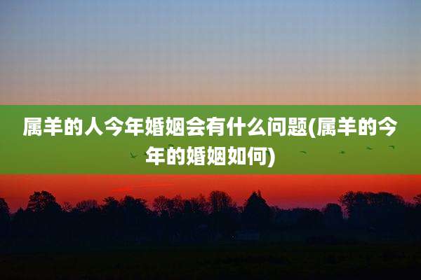 属羊的人今年婚姻会有什么问题(属羊的今年的婚姻如何)