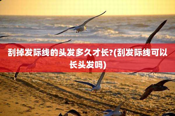 刮掉发际线的头发多久才长?(刮发际线可以长头发吗)