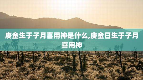 庚金生于子月喜用神是什么,庚金日生于子月喜用神