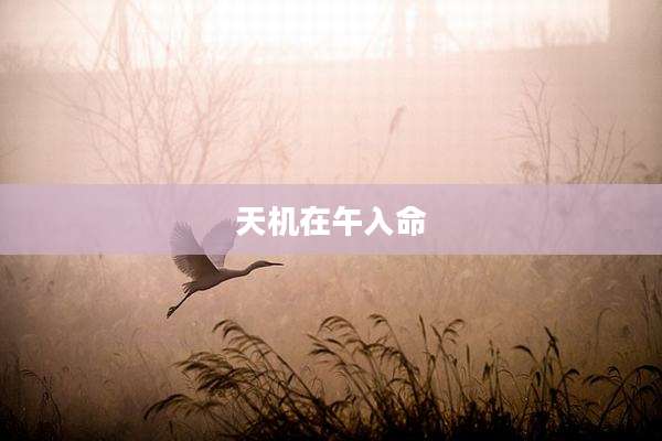 天机在午入命