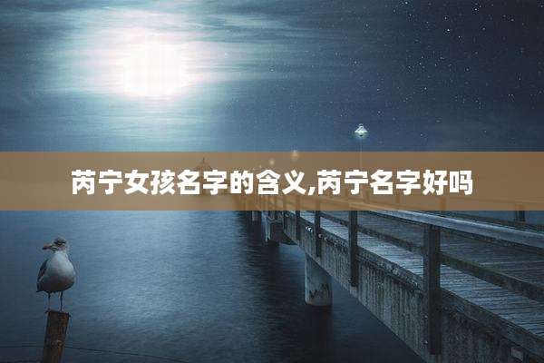 芮宁女孩名字的含义,芮宁名字好吗