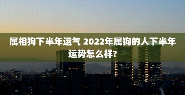 属相狗下半年运气 2022年属狗的人下半年运势怎么样?
