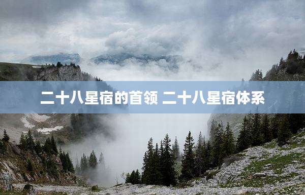 二十八星宿的首领 二十八星宿体系