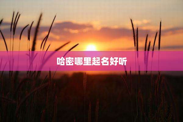哈密哪里起名好听