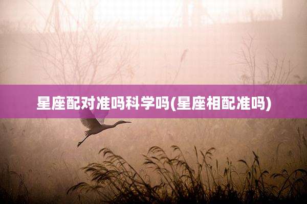 星座配对准吗科学吗(星座相配准吗)
