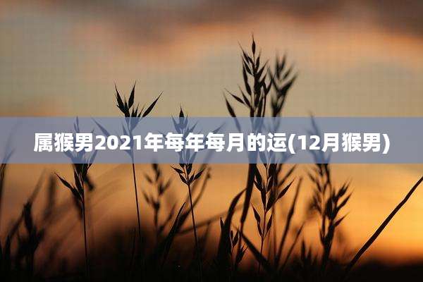 属猴男2021年每年每月的运(12月猴男)